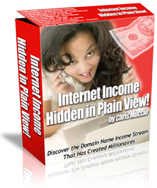 Internet Income Hidden in Plain